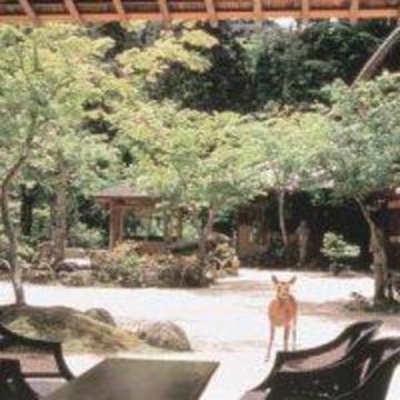 岩惣 4*
